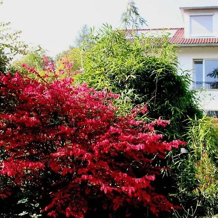 Casa vacanze Bianca Costanza
